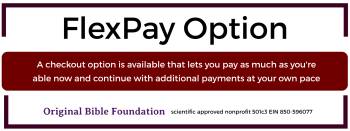 FlexPay 2